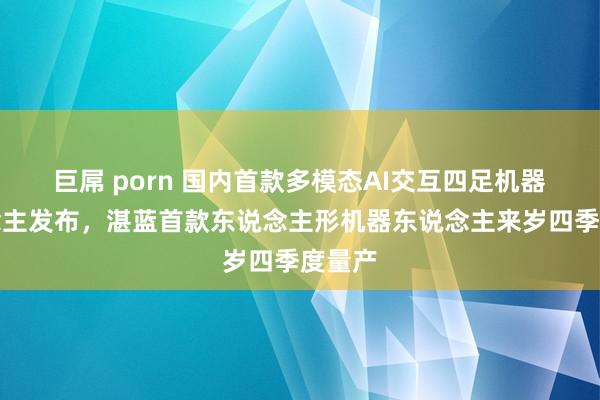 巨屌 porn 国内首款多模态AI交互四足机器东说念主发布，湛蓝首款东说念主形机器东说念主来岁四季度量产