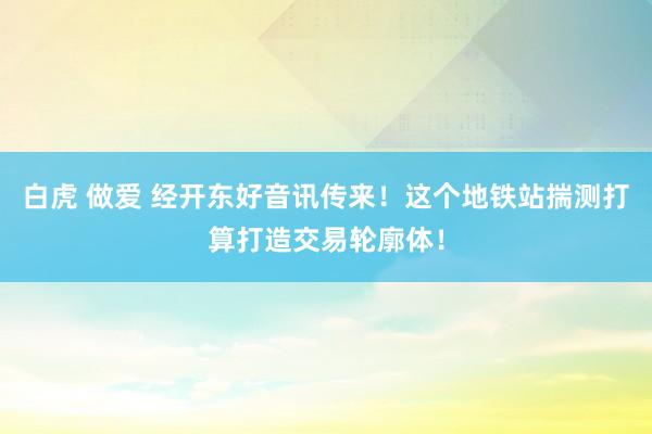 白虎 做爱 经开东好音讯传来！这个地铁站揣测打算打造交易轮廓体！
