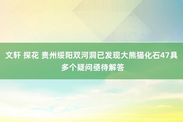 文轩 探花 贵州绥阳双河洞已发现大熊猫化石47具 多个疑问亟待解答