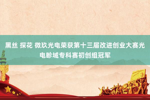 黑丝 探花 微玖光电荣获第十三届改进创业大赛光电畛域专科赛初创组冠军
