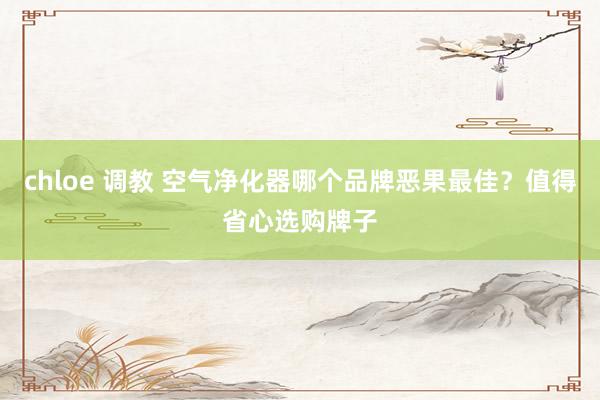 chloe 调教 空气净化器哪个品牌恶果最佳？值得省心选购牌子