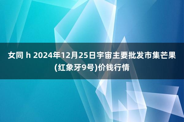 女同 h 2024年12月25日宇宙主要批发市集芒果(红象牙9号)价钱行情