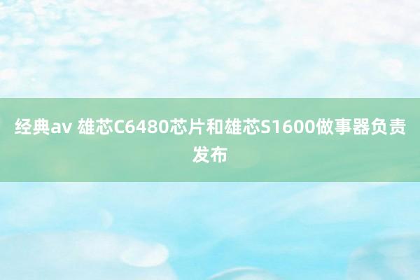 经典av 雄芯C6480芯片和雄芯S1600做事器负责发布