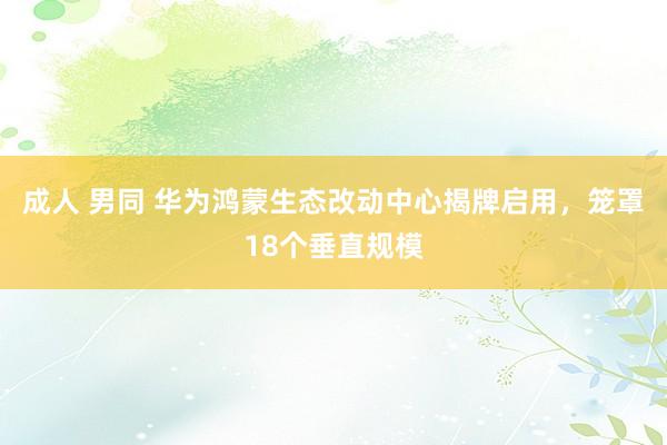 成人 男同 华为鸿蒙生态改动中心揭牌启用，笼罩18个垂直规模