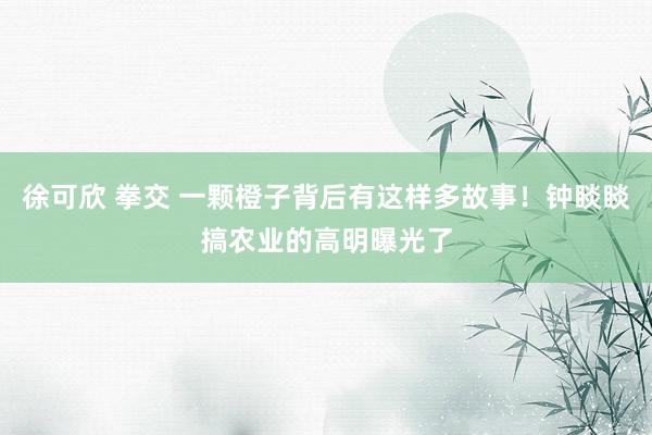 徐可欣 拳交 一颗橙子背后有这样多故事！钟睒睒搞农业的高明曝光了