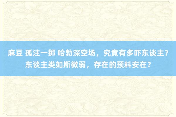 麻豆 孤注一掷 哈勃深空场，究竟有多吓东谈主？东谈主类如斯微弱，存在的预料安在？