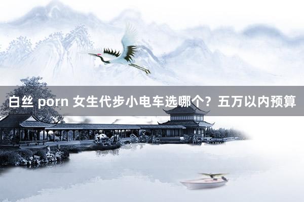 白丝 porn 女生代步小电车选哪个？五万以内预算