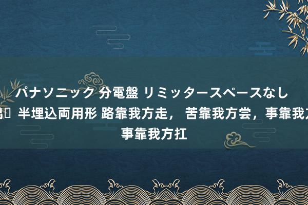 パナソニック 分電盤 リミッタースペースなし 露出・半埋込両用形 路靠我方走, 苦靠我方尝,事靠我方扛