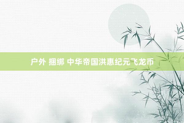 户外 捆绑 中华帝国洪惠纪元飞龙币