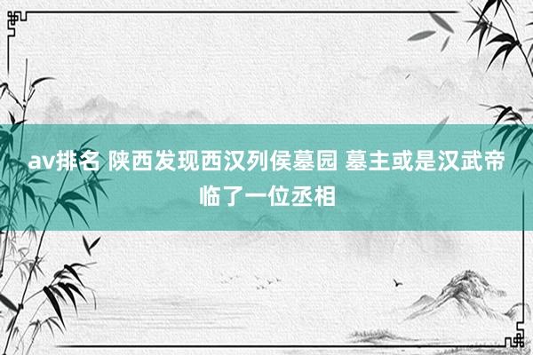 av排名 陕西发现西汉列侯墓园 墓主或是汉武帝临了一位丞相