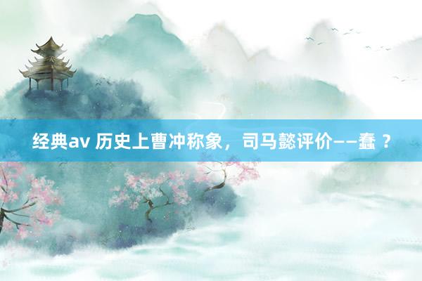 经典av 历史上曹冲称象，司马懿评价——蠢 ？