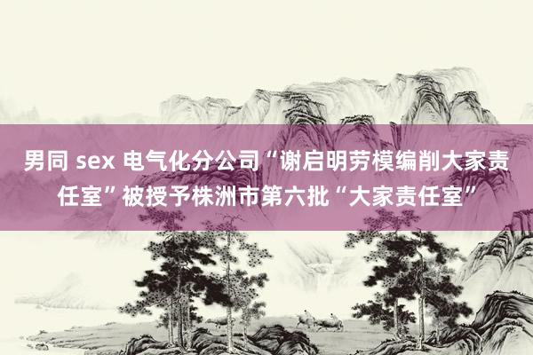 男同 sex 电气化分公司“谢启明劳模编削大家责任室”被授予株洲市第六批“大家责任室”
