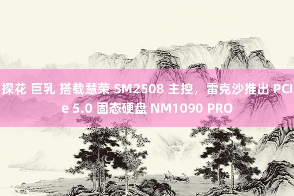 探花 巨乳 搭载慧荣 SM2508 主控，雷克沙推出 PCIe 5.0 固态硬盘 NM1090 PRO