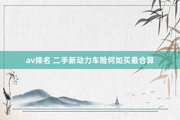 av排名 二手新动力车险何如买最合算