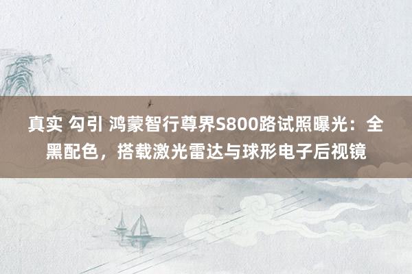 真实 勾引 鸿蒙智行尊界S800路试照曝光：全黑配色，搭载激光雷达与球形电子后视镜