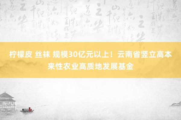 柠檬皮 丝袜 规模30亿元以上！云南省竖立高本来性农业高质地发展基金