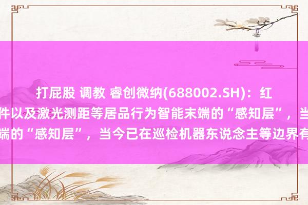 打屁股 调教 睿创微纳(688002.SH)：红外热成像模组、射频微波器件以及激光测距等居品行为智能末端的“感知层”，当今已在巡检机器东说念主等边界有所欺诈