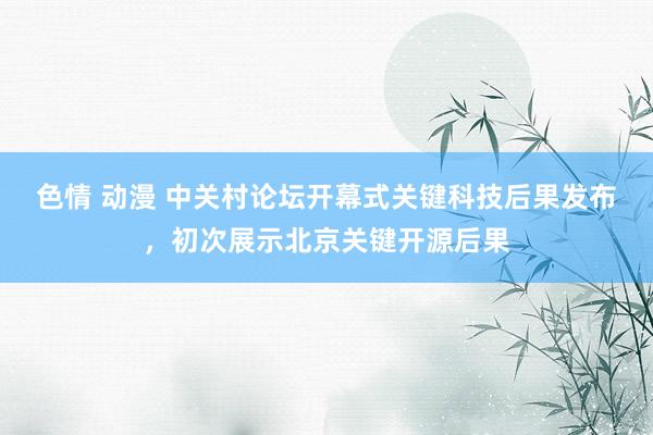 色情 动漫 中关村论坛开幕式关键科技后果发布，初次展示北京关键开源后果