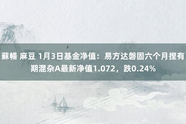 蘇暢 麻豆 1月3日基金净值：易方达磐固六个月捏有期混杂A最新净值1.072，跌0.24%