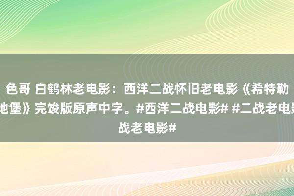 色哥 白鹤林老电影：西洋二战怀旧老电影《希特勒之地堡》完竣版原声中字。#西洋二战电影# #二战老电影#