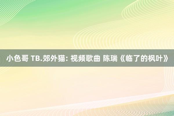 小色哥 TB.郊外猫: 视频歌曲 陈瑞《临了的枫叶》
